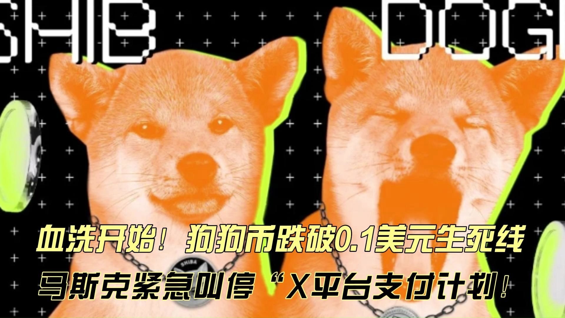 包含专家称狗狗币将在年底冲破20.09美元，引发引发关注的词条-爱游戏app