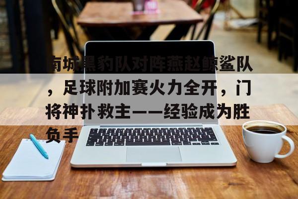 南城黑豹队对阵燕赵鲸鲨队，足球附加赛火力全开，门将神扑救主——经验成为胜负手-爱游戏体育